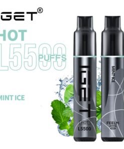 iGET HOT VAPE 5500 PUFF – MINT ICE