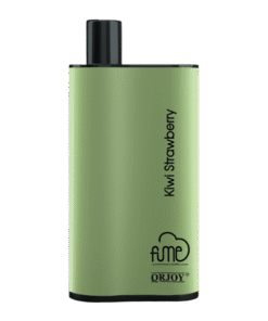 Kiwi Strawberry Fume Infinity