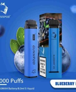 Blueberry Ice-2000 puffs