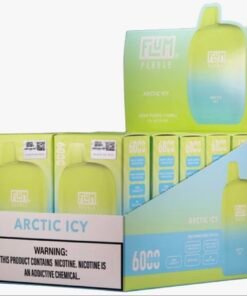 Artic Icy 6000 puffs 10 pack