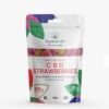 CBD Gummy Strawberries Grab Bag (200mg)