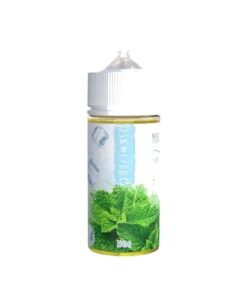 Skwezed Mint Ice 100ml